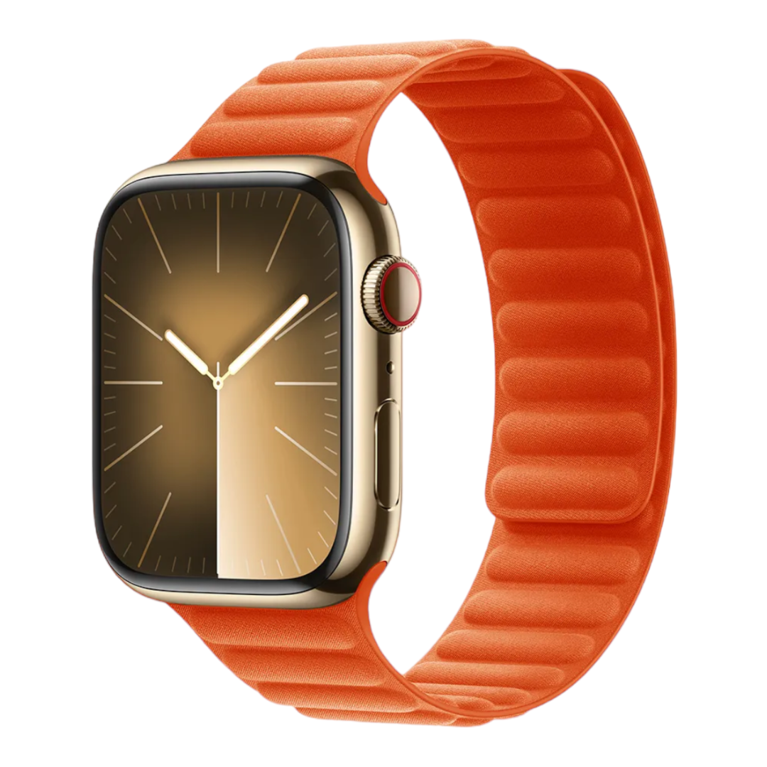 Magnetic Link - New collection 2024